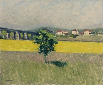 Meadow at the Pont d